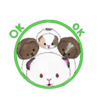 アダムスビ の モルモット（個別スタンプ：8）