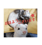腰が低いニョロニョロ（個別スタンプ：1）