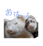 腰が低いニョロニョロ（個別スタンプ：3）