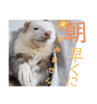 腰が低いニョロニョロ（個別スタンプ：4）