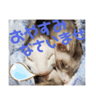 腰が低いニョロニョロ（個別スタンプ：5）