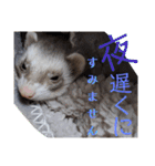 腰が低いニョロニョロ（個別スタンプ：8）