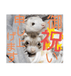 腰が低いニョロニョロ（個別スタンプ：11）