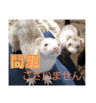 腰が低いニョロニョロ（個別スタンプ：13）
