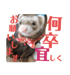 腰が低いニョロニョロ（個別スタンプ：14）