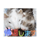 腰が低いニョロニョロ（個別スタンプ：16）