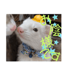 腰が低いニョロニョロ（個別スタンプ：18）