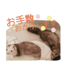 腰が低いニョロニョロ（個別スタンプ：19）