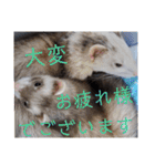 腰が低いニョロニョロ（個別スタンプ：22）