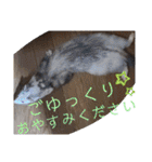 腰が低いニョロニョロ（個別スタンプ：23）