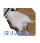 腰が低いニョロニョロ（個別スタンプ：24）