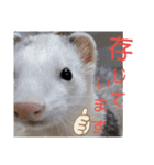 腰が低いニョロニョロ（個別スタンプ：26）