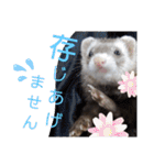腰が低いニョロニョロ（個別スタンプ：27）
