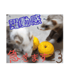 腰が低いニョロニョロ（個別スタンプ：28）