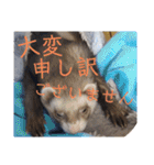 腰が低いニョロニョロ（個別スタンプ：30）