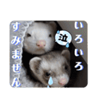 腰が低いニョロニョロ（個別スタンプ：31）
