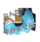 腰が低いニョロニョロ（個別スタンプ：32）