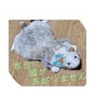 腰が低いニョロニョロ（個別スタンプ：34）