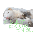 腰が低いニョロニョロ（個別スタンプ：35）