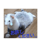 腰が低いニョロニョロ（個別スタンプ：37）