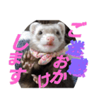 腰が低いニョロニョロ（個別スタンプ：38）