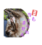 腰が低いニョロニョロ（個別スタンプ：39）