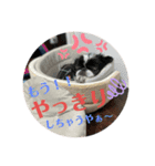 狆のマウスウⅥ（個別スタンプ：4）