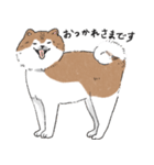 ぽわぽわ秋田犬（個別スタンプ：2）