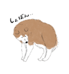 ぽわぽわ秋田犬（個別スタンプ：4）