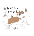 ぽわぽわ秋田犬（個別スタンプ：8）