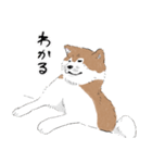 ぽわぽわ秋田犬（個別スタンプ：9）