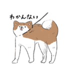ぽわぽわ秋田犬（個別スタンプ：10）