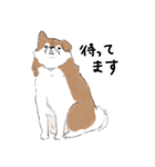 ぽわぽわ秋田犬（個別スタンプ：11）
