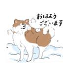ぽわぽわ秋田犬（個別スタンプ：14）