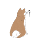 ぽわぽわ秋田犬（個別スタンプ：16）