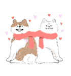 ぽわぽわ秋田犬（個別スタンプ：17）