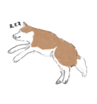 ぽわぽわ秋田犬（個別スタンプ：18）