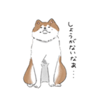 ぽわぽわ秋田犬（個別スタンプ：21）