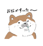 ぽわぽわ秋田犬（個別スタンプ：27）