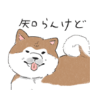 ぽわぽわ秋田犬（個別スタンプ：28）