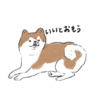 ぽわぽわ秋田犬（個別スタンプ：29）
