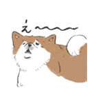 ぽわぽわ秋田犬（個別スタンプ：31）