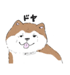ぽわぽわ秋田犬（個別スタンプ：33）