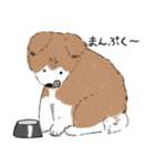 ぽわぽわ秋田犬（個別スタンプ：39）