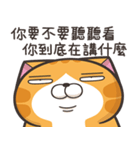 ランラン猫 32 (台湾版)（個別スタンプ：13）