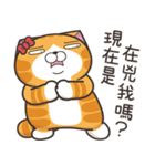 ランラン猫 32 (台湾版)（個別スタンプ：19）