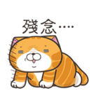 ランラン猫 32 (台湾版)（個別スタンプ：31）