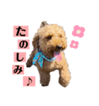 ラム子ちゃんスタンプ2（個別スタンプ：12）