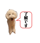 ラム子ちゃんスタンプ2（個別スタンプ：13）