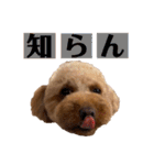 ラム子ちゃんスタンプ2（個別スタンプ：14）